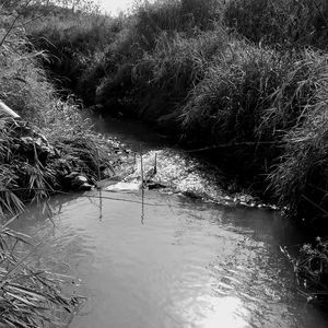 Meet your Posher, Joe